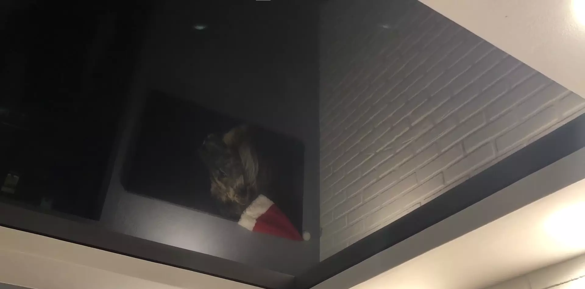 Херсон, Ленина, 40, фото 3