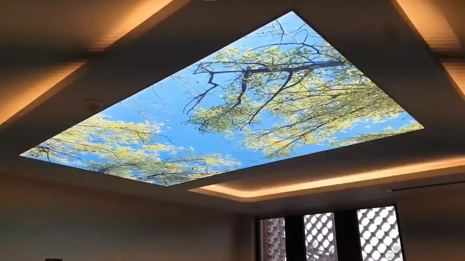 3D натяжной потолок — Новочеркасск, Думенко, 8, фото 1